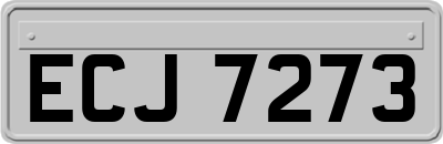 ECJ7273
