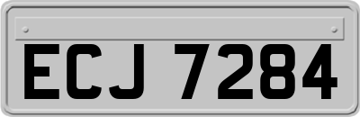 ECJ7284