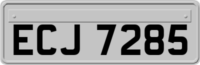 ECJ7285