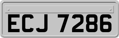 ECJ7286