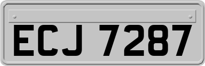 ECJ7287