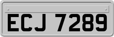ECJ7289