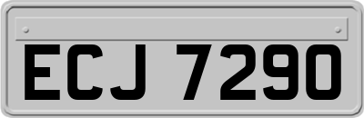 ECJ7290