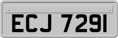 ECJ7291