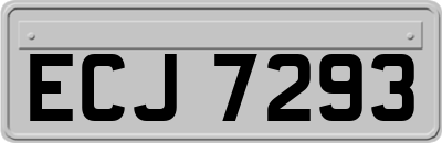 ECJ7293