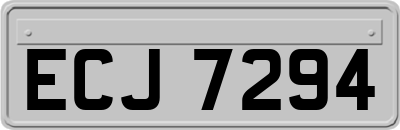 ECJ7294