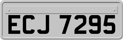 ECJ7295