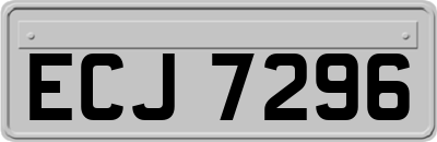 ECJ7296