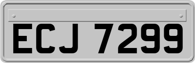 ECJ7299