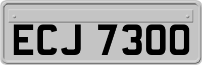 ECJ7300