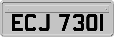 ECJ7301