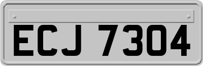 ECJ7304