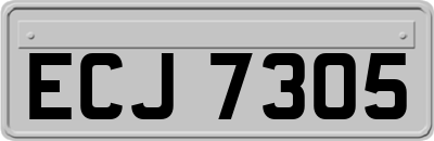 ECJ7305