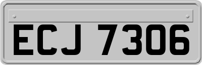 ECJ7306