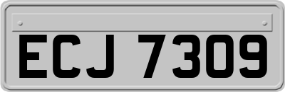 ECJ7309