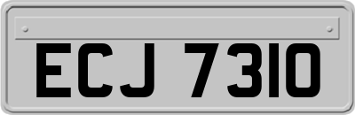 ECJ7310