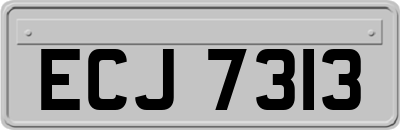 ECJ7313