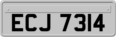 ECJ7314