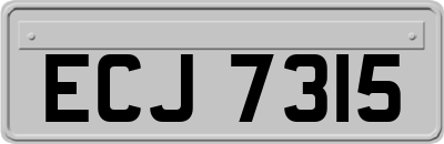 ECJ7315