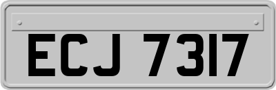 ECJ7317