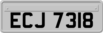 ECJ7318