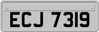 ECJ7319