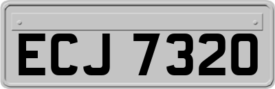 ECJ7320
