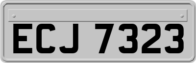 ECJ7323