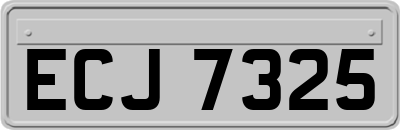 ECJ7325