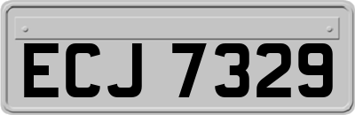 ECJ7329