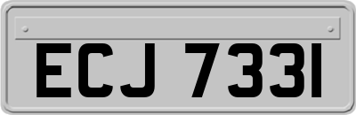 ECJ7331