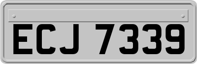 ECJ7339