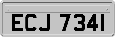 ECJ7341