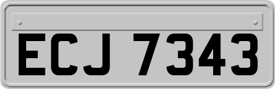 ECJ7343