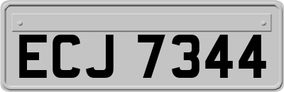 ECJ7344