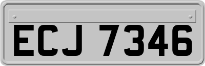 ECJ7346