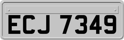 ECJ7349