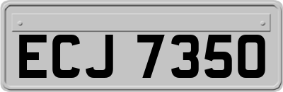 ECJ7350