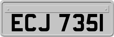 ECJ7351