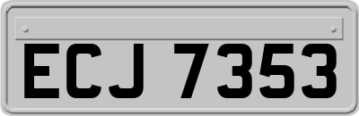 ECJ7353