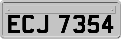ECJ7354