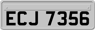 ECJ7356