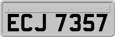 ECJ7357