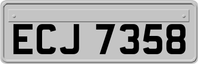 ECJ7358