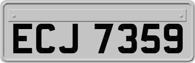 ECJ7359