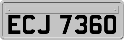 ECJ7360