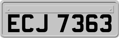 ECJ7363