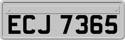 ECJ7365