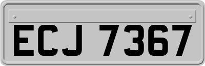 ECJ7367