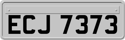 ECJ7373